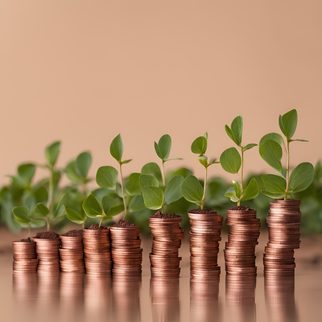 Bandi regionali 2023: tutte le novità