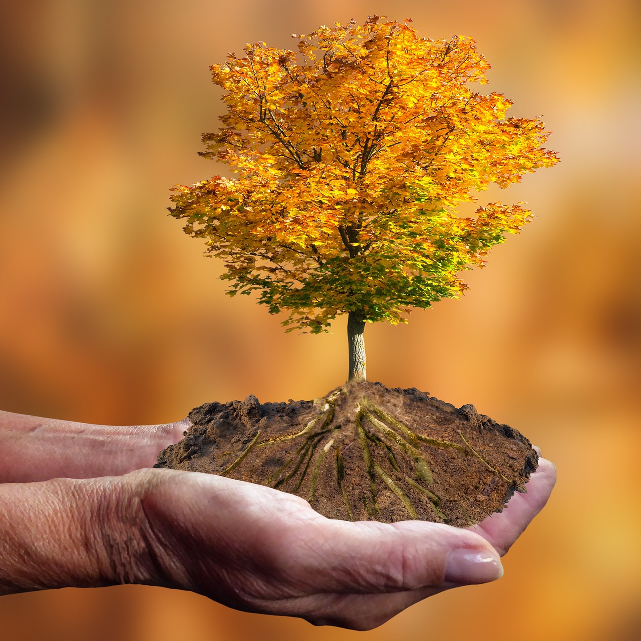 Certificati Bianchi Guadagna risparmiando energia